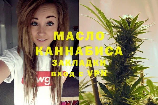 молекула духа Заводоуковск
