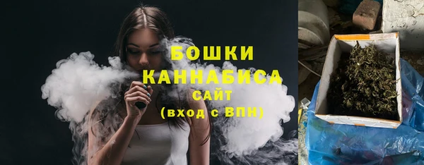 молекула духа Заводоуковск