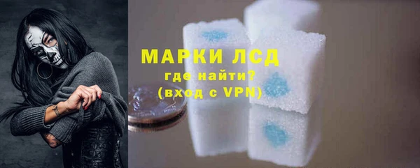 ПСИЛОЦИБИНОВЫЕ ГРИБЫ Заволжье