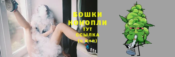 МДПВ Заволжск
