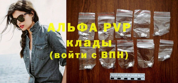 ПСИЛОЦИБИНОВЫЕ ГРИБЫ Заволжье