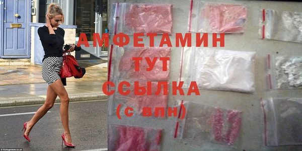 ПСИЛОЦИБИНОВЫЕ ГРИБЫ Заволжье